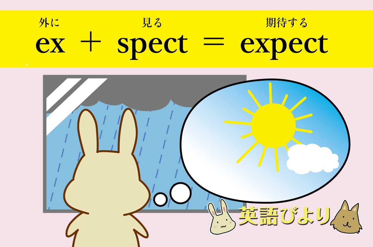 「ex（外に）」＋「spect（見る）」＝「expect（期待する）」