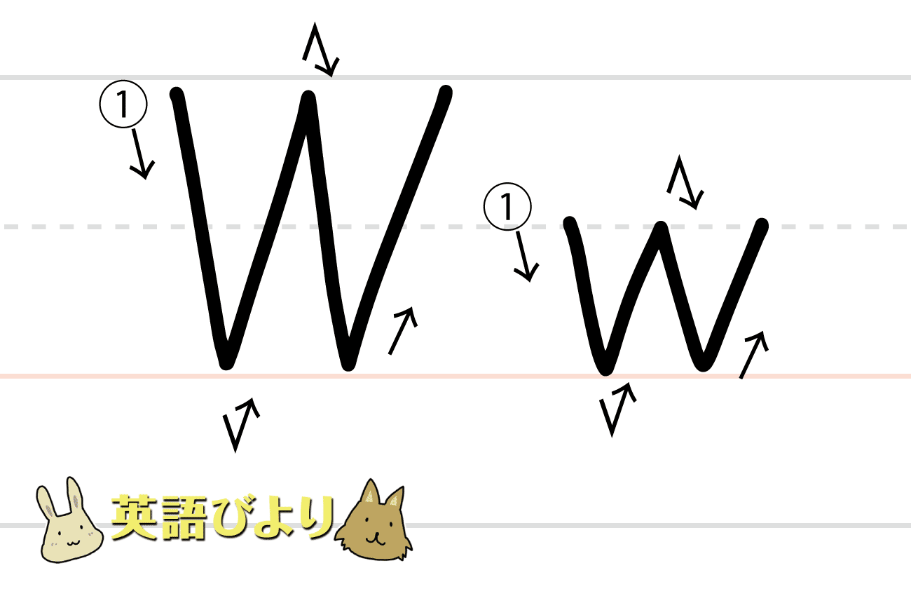 「 W（ w ）」の書き方