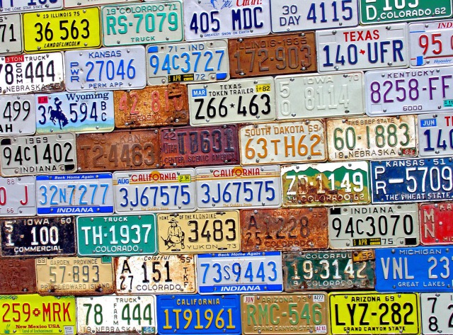 Driver's license plates