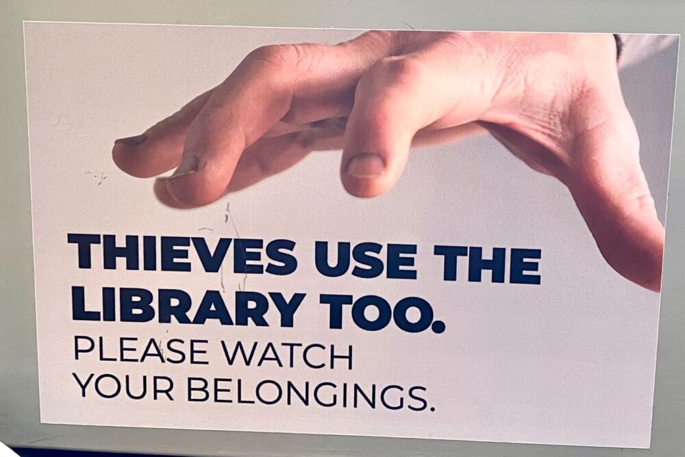 Thieves Use The Library Too