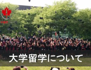 大学留学