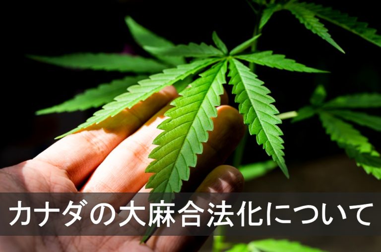 カナダではマリファナ（大麻）が合法化! 日本人が吸ってもいいの?