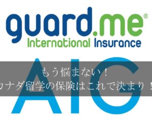 ハイブリッド保険