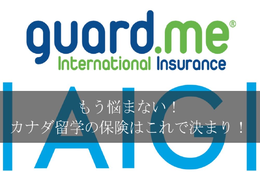 ハイブリッド保険