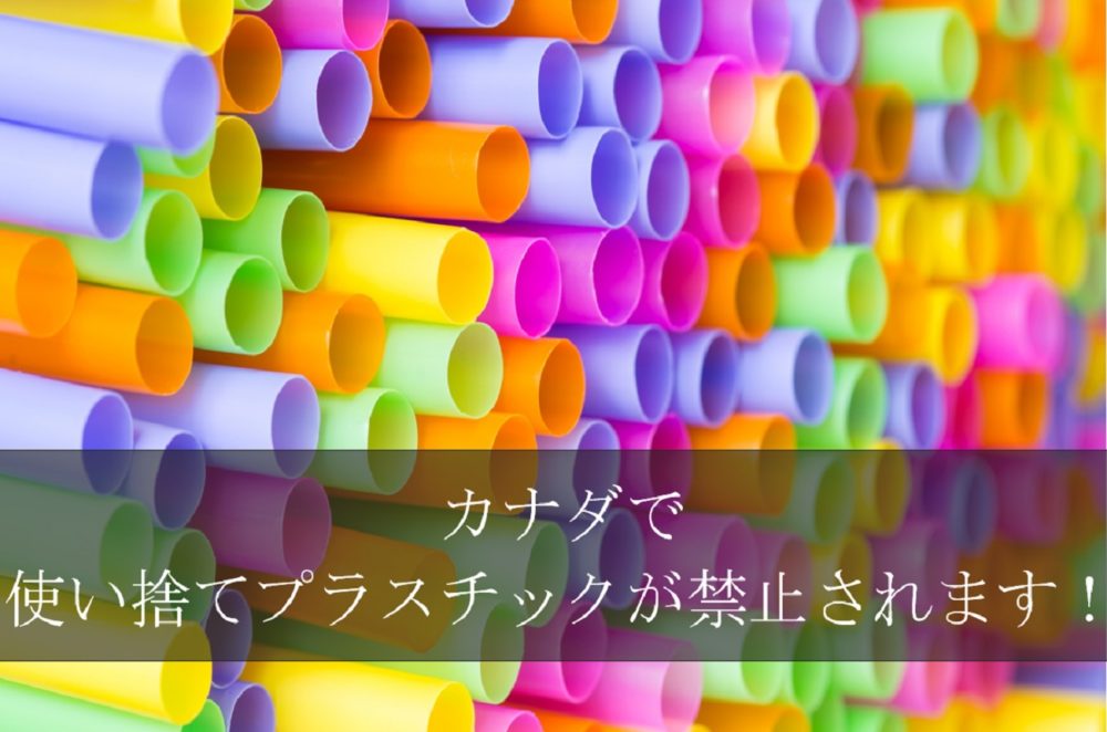 使い捨てプラスチック禁止
