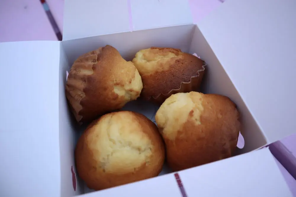 Uncle Tetsu's Japanese Cheesecake（てつおじさんのチーズ