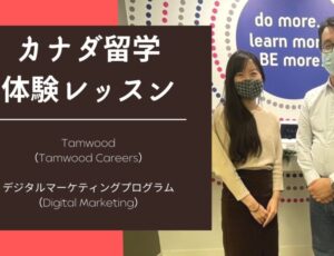 [コープ(Co-op)体験記] Tamwood Careers デジタルマーケティング