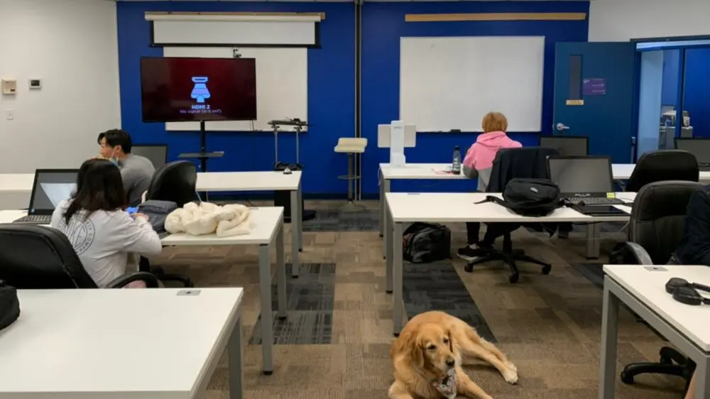 CICCC Hospitality Management Co-op Dip_classroom