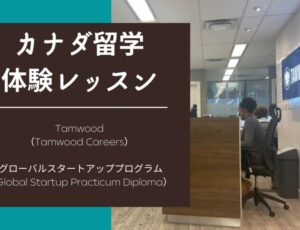 [Practicum体験記] Tamwood Careers グローバルスタートアップ