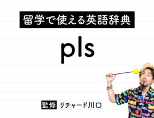 pls (plz)の意味・読み方・使い方・例文