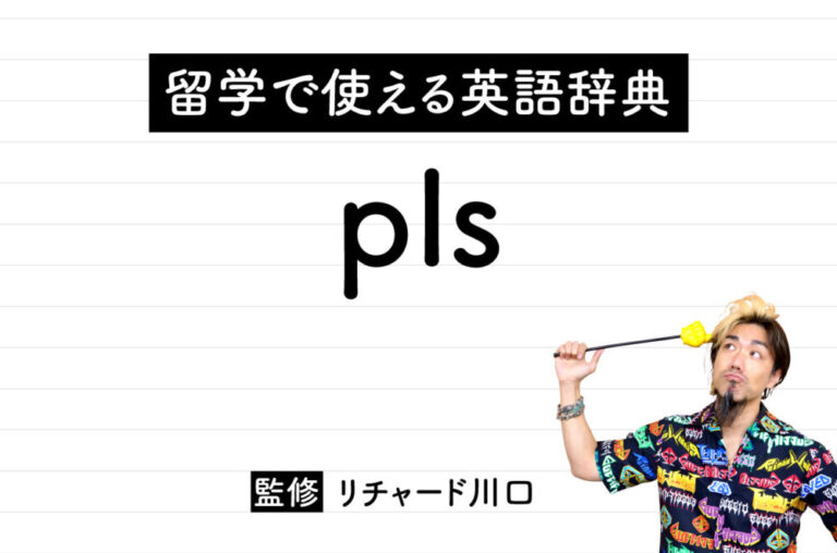 pls (plz)の意味・読み方・使い方・例文