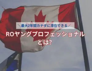 ROヤングプロフェッショナルとは?